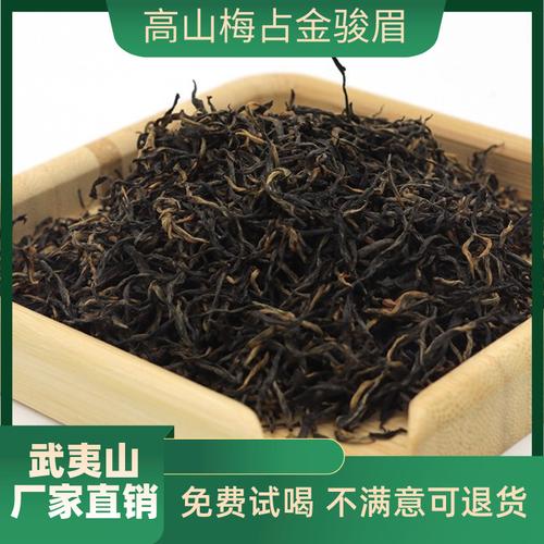 高香茶树品种梅占,高山茶梅